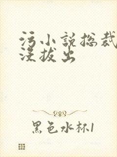 污小说总裁整夜没拔出