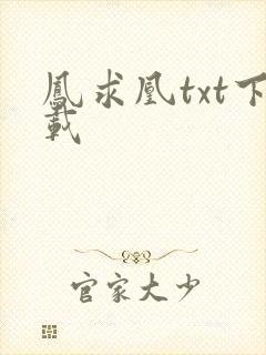 凤求凰txt下载