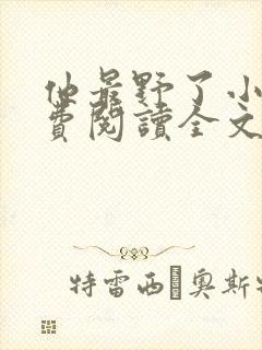 他最野了小说免费阅读全文