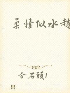 柔情似水赵雅儿