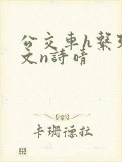 公交车h系列辣文n诗晴