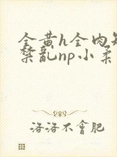 全黄h全肉短篇禁乱np小柔