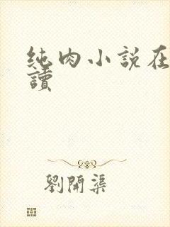 纯肉小说在线阅读