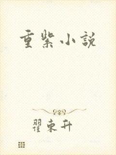 重紫小说