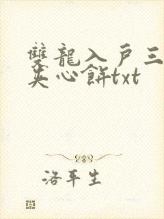 双龙入户三人行夹心饼txt