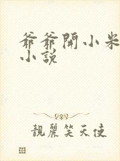 爷爷开小米的包小说