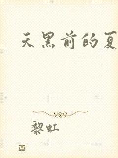 天黑前的夏天