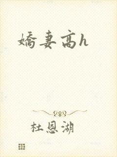 娇妻高h