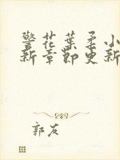 警花叶柔小说最新章节更新