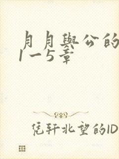 月月与公的激情1一5章
