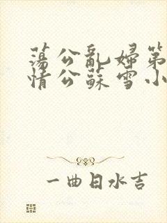 荡公乱妇第1章情公苏雪小说