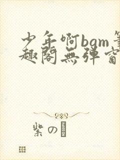 少年啊bgm笔趣阁无弹窗免费