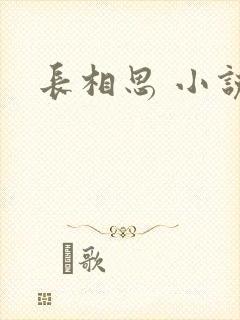 长相思 小说
