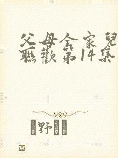 父母全家儿女大联欢第14集