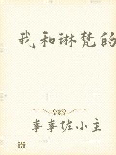 我和琳梵的故事