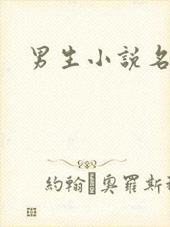 男生小说名字