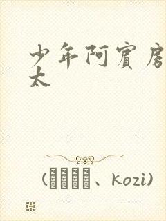 少年阿宾房东太太