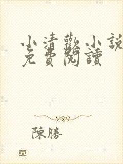 小清欢小说全文免费阅读