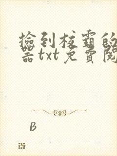 捡到校霸的遥控器txt免费阅读