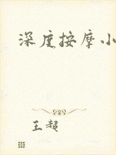 深度按摩小说