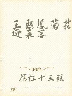 王熙凤菊花门初迎来客