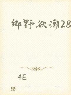 乡野欲潮28章