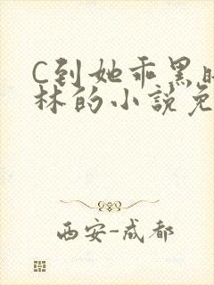 C到她乖黑暗森林的小说免费