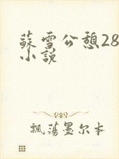 苏雪公憩28篇小说