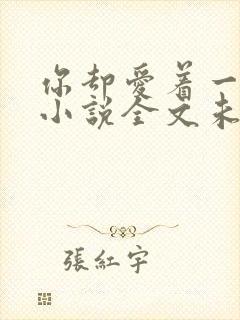 你却爱着一个他小说全文未删减免费