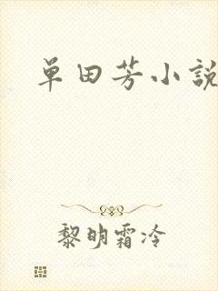 单田芳小说