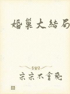 婚巢大结局