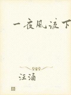 一夜风流下载