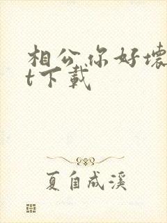 相公你好坏txt下载