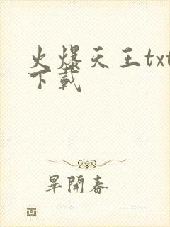 火爆天王txt下载