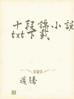 十段锦小说全本txt下载