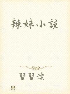 辣妹小说