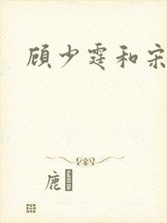 顾少霆和宋斯曼