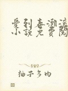 爱到春潮滚滚来小说免费阅读