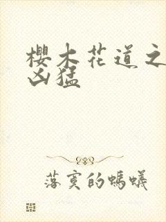 樱木花道之重生凶猛