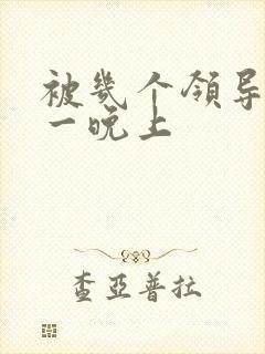 被几个领导玩弄一晚上