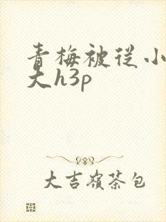 青梅被从小摸到大h3p