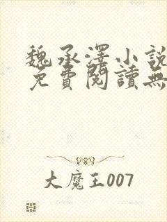 魏承泽小说全文免费阅读无弹窗笔趣