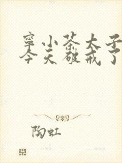 宁小茶太子殿下今天破戒了吗免费阅读