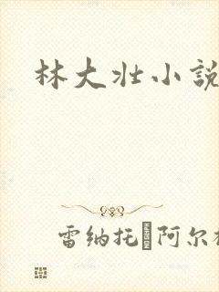 林大壮小说阅读