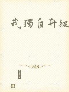 我独自升级小说