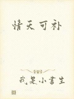 情天可补