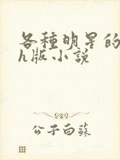 各种明星的综艺h版小说