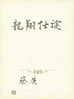 龙翔仕途