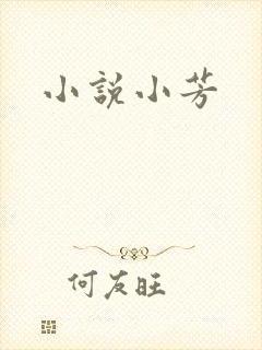 小说小芳