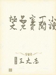 极品家丁小说全文免费阅读